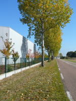 La forme du territoire productif 