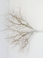 Design & écologie relationnelle 