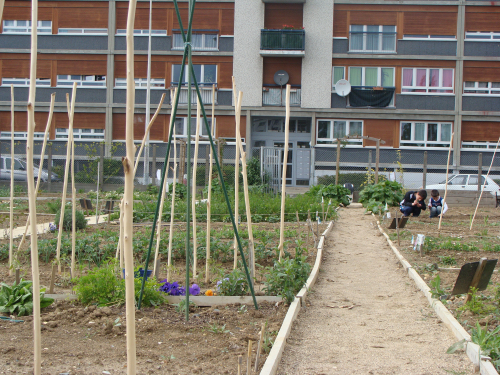  Architecture et logement social, quels renouvellements ?